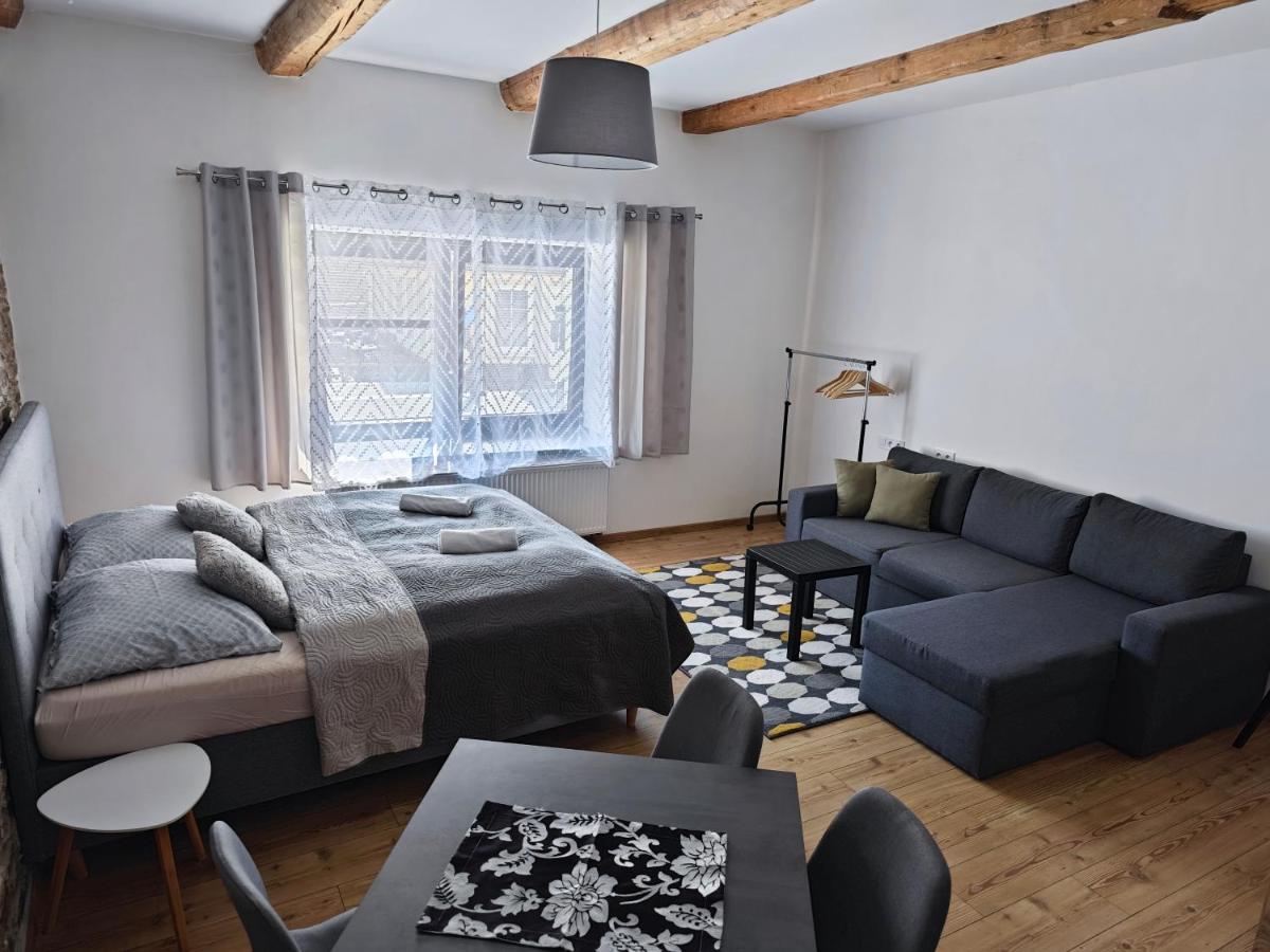 Apartmany 91 Boží Dar Dış mekan fotoğraf